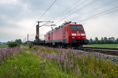 SMM_4966