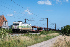 SMM_5136