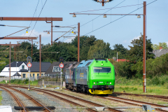 SMM_4896