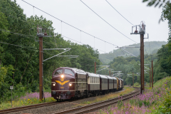 SMM_5985