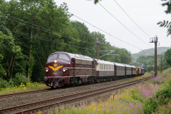SMM_5988
