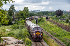 SMM_6181