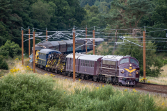 SMM_6198-2
