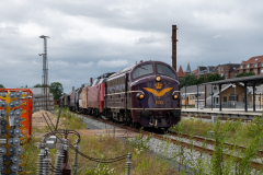 SMM_6247