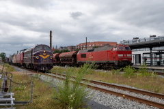 SMM_6253