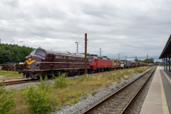 SMM_6274