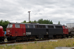 SMM_6282