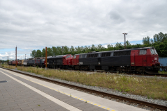 SMM_6284