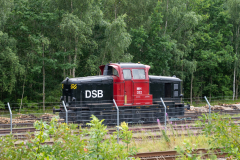 SMM_6289