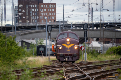SMM_6423