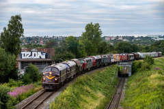 SMM_6482