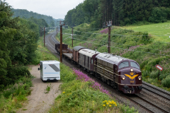 SMM_6559
