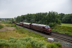 SMM_6569
