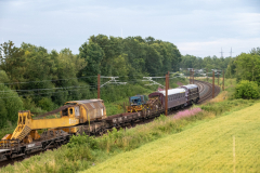 SMM_6646