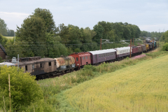 SMM_6659