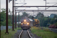 SMM_6681