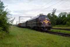 SMM_6696