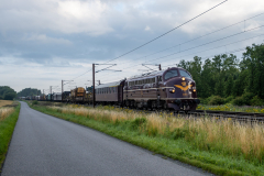 SMM_6708