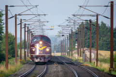 SMM_6726