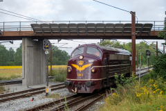 SMM_6768