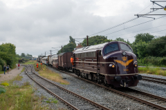 SMM_6769