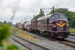 SMM_6779