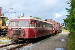 SMM_6784