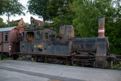 SMM_6884