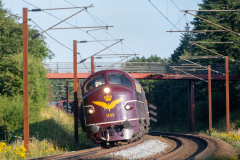 SMM_6975