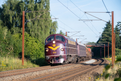 SMM_6981