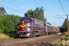 SMM_6985