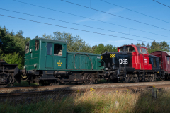 SMM_6993
