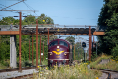 SMM_7051