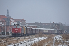 DSC_4466