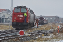 DSC_4503