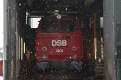 DSC_5635