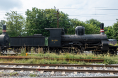 SMM_5004