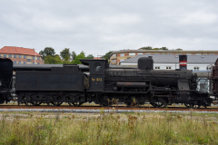 DSC_3696