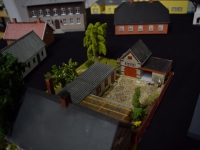 DSC_0618.JPG