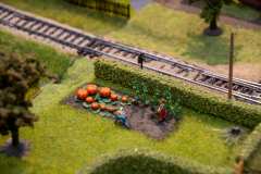 SMM_6603