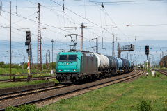 SMM_6916
