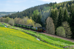 SMM_9178