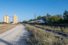 SMM_4779