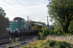 SMM_4782