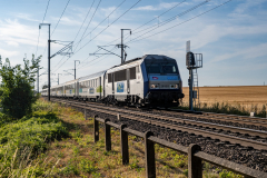 SMM_4793