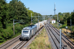 SMM_4802