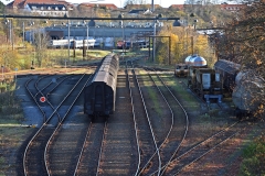 DSC_1297