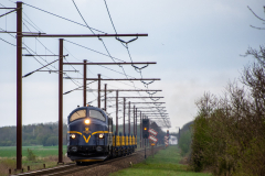 SMM_5872