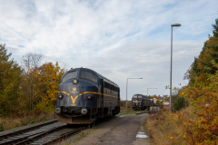 SMM_5288