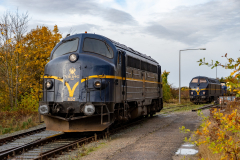SMM_5292